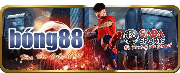 Cá cược bóng đá tại v788 nhà cái